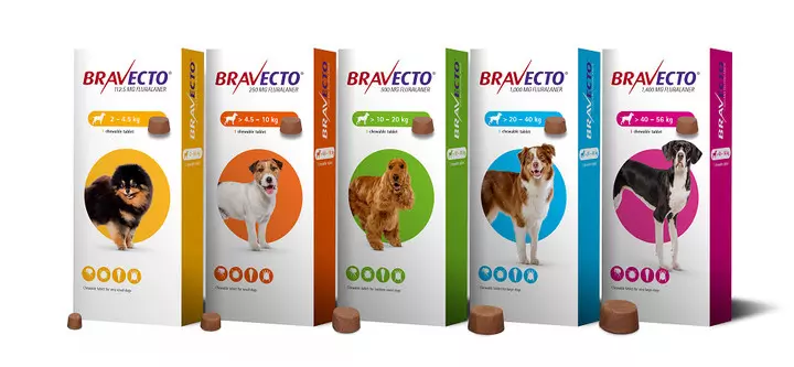 Bravecto Flea Treatments For Cats & Dogs 3 Bravecto Flea Treatments For Cats & Dogs