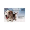 Capstar Flea Tablets For Dogs & Cats 1 Capstar Flea Tablets For Dogs & Cats -Dog Supply Shop capstar tablets 8f6v.jpg