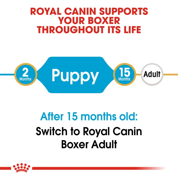 ROYAL CANIN® Boxer Puppy Dry Food 5 ROYAL CANIN® Boxer Puppy Dry Food - Image 3