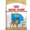 ROYAL CANIN® Boxer Puppy Dry Food -Dog Supply Shop cmj0iblvs86007dhwhqv