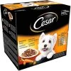 48 X 100g Cesar Deliciously Fresh Dog Food Pouches Favourites In Sauce