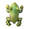 Kong Shieldz Tropics Frog Medium 1 Kong Shieldz Tropics Frog Medium -Dog Supply Shop fm 2022 08 12 03 42 17 62134 images