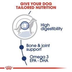 ROYAL CANIN® Maxi Large Breed Adult In Gravy Wet Dog Food -Dog Supply Shop fy5umqgyosapfibvi76p