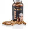 Golden Paste Company Turmeric Capsules For Dogs 1 Golden Paste Company Turmeric Capsules For Dogs -Dog Supply Shop golden paste company turmeric capsules for dogs yjw6.jpg