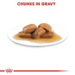 ROYAL CANIN® Maxi Large Breed Adult In Gravy Wet Dog Food -Dog Supply Shop humhe8o4xkluqg5sotdc