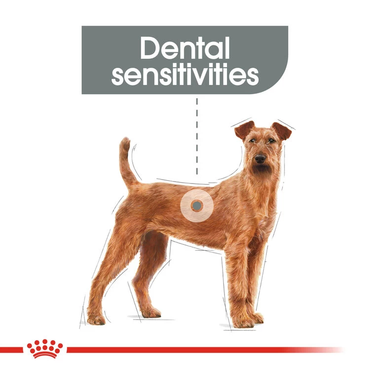 ROYAL CANIN® Medium Dental Care Adult Dry Dog Food 5 ROYAL CANIN® Medium Dental Care Adult Dry Dog Food - Image 3