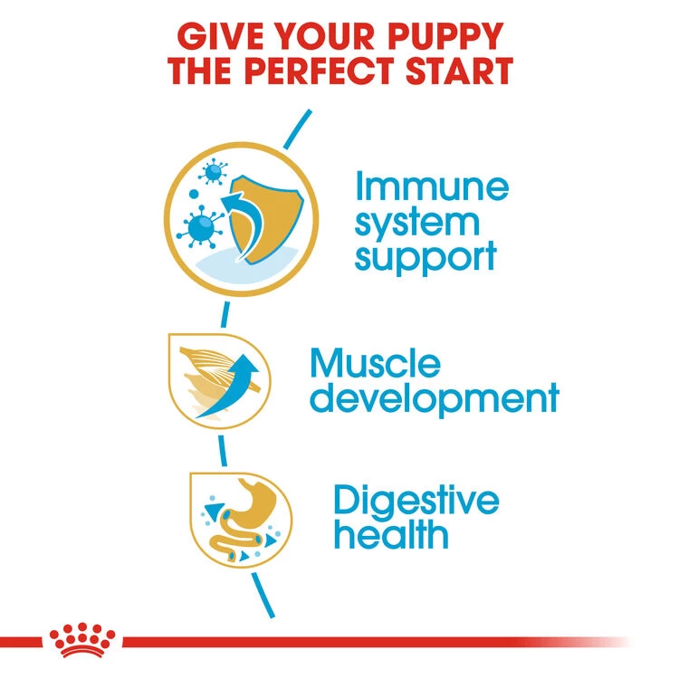 ROYAL CANIN® Boxer Puppy Dry Food 7 ROYAL CANIN® Boxer Puppy Dry Food - Image 5