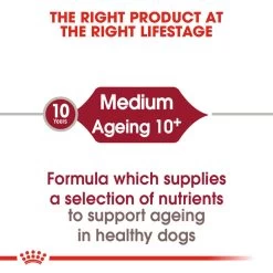 ROYAL CANIN® Medium Ageing 10+ Senior Dry Dog Food 18 ROYAL CANIN® Medium Ageing 10+ Senior Dry Dog Food -Dog Supply Shop krfhnimczhfbrvmjzfjr