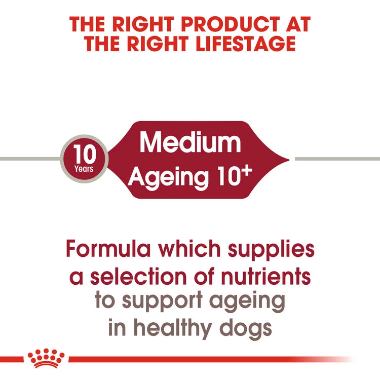 ROYAL CANIN® Medium Ageing 10+ Senior Dry Dog Food 10 ROYAL CANIN® Medium Ageing 10+ Senior Dry Dog Food - Image 8