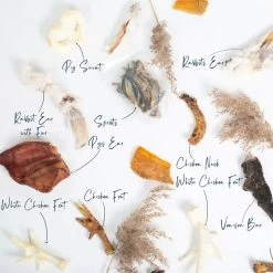 Lords & Labradors Natural Graze Luxury Treat Box 7 Lords & Labradors Natural Graze Luxury Treat Box -Dog Supply Shop lords and labradors natural treats box studio annotation 1920x.progressive