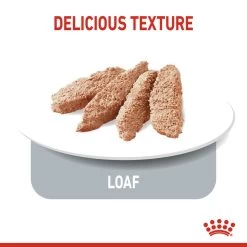 ROYAL CANIN® Light Weight Care Wet Pouches Adult Dog Food -Dog Supply Shop maaknx8mcffp3ynmmzhu