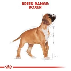 ROYAL CANIN® Boxer Puppy Dry Food -Dog Supply Shop mawur3ufx7onliwqw58b