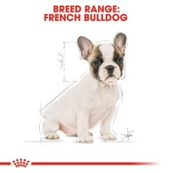 ROYAL CANIN® French Bulldog Puppy Dry Food -Dog Supply Shop mgc5ih9afooc5fcyoamt