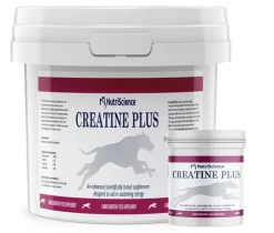 Nutriscience Creatine Plus