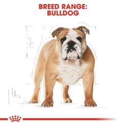 ROYAL CANIN® Bulldog Adult Dry Dog Food 12 ROYAL CANIN® Bulldog Adult Dry Dog Food -Dog Supply Shop p1gb9kp27wxvujgyo9bu