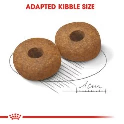 ROYAL CANIN® Medium Ageing 10+ Senior Dry Dog Food 16 ROYAL CANIN® Medium Ageing 10+ Senior Dry Dog Food -Dog Supply Shop ponc3feaejcjdhxrzbpv