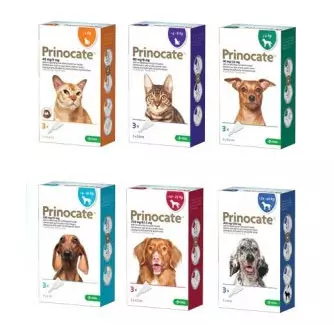 Prinocate Spot-on Solution For Cats And Dogs 3 Prinocate Spot-on Solution For Cats And Dogs