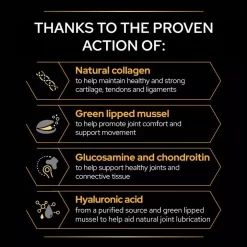 PRO PLAN Dog Adult And Senior Mobility Supplement Powder 14 PRO PLAN Dog Adult And Senior Mobility Supplement Powder -Dog Supply Shop pro plan dog adult and senior mobility supplement powder 92b0.jpg