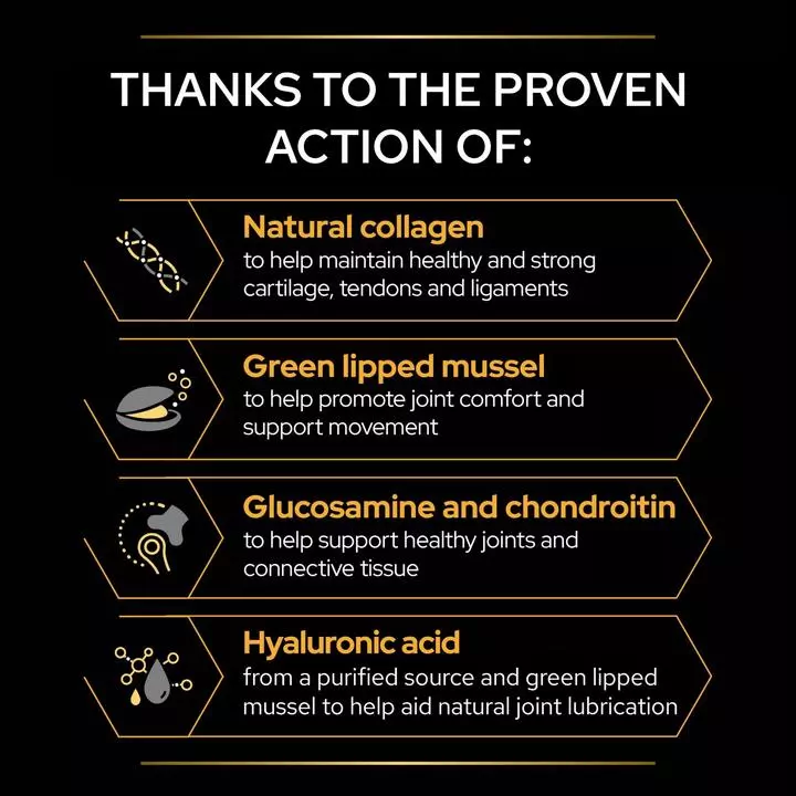 PRO PLAN Dog Adult And Senior Mobility Supplement Powder 6 PRO PLAN Dog Adult And Senior Mobility Supplement Powder - Image 4