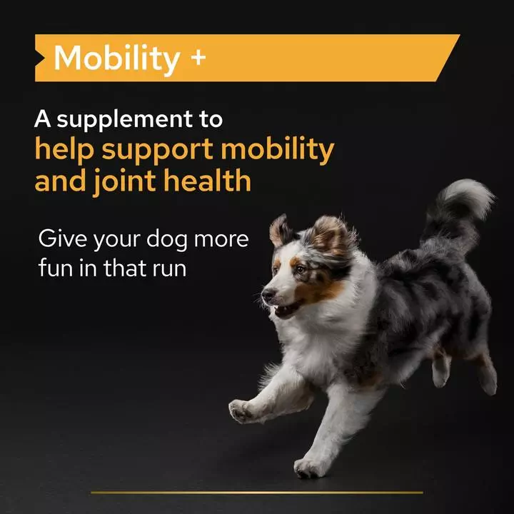 PRO PLAN Dog Adult And Senior Mobility Supplement Powder 5 PRO PLAN Dog Adult And Senior Mobility Supplement Powder - Image 3