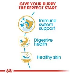 ROYAL CANIN® French Bulldog Puppy Dry Food -Dog Supply Shop q1y8yxh2dnfym1h9jgey