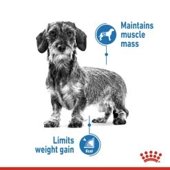 ROYAL CANIN® Light Weight Care Wet Pouches Adult Dog Food -Dog Supply Shop qlggrwf4c3gifsyxvgwa