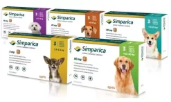 ZOETIS Simparica Flea & Tick Tablets