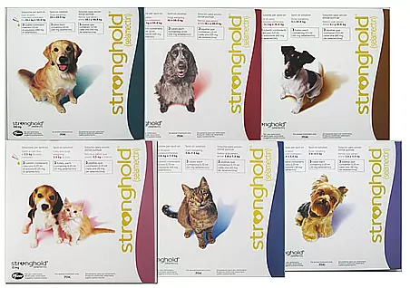 ZOETIS Stronghold Spot On For Dogs & Cats 3 ZOETIS Stronghold Spot On For Dogs & Cats