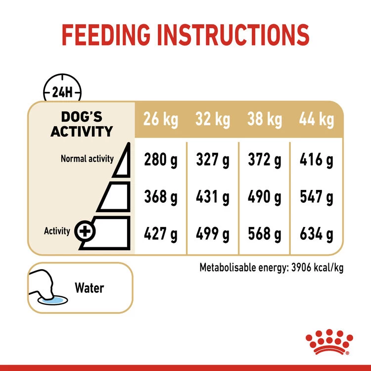 ROYAL CANIN® German Shepherd Adult 5+ Dry Dog Food 9 ROYAL CANIN® German Shepherd Adult 5+ Dry Dog Food - Image 7