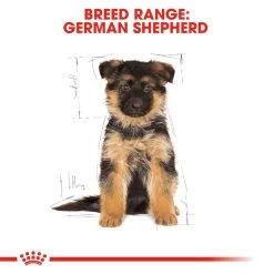 ROYAL CANIN® German Shepherd Puppy Dry Dog Food -Dog Supply Shop xlj0sik3nutnnuybvf0g