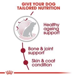 ROYAL CANIN® Medium Ageing 10+ Senior Dry Dog Food 17 ROYAL CANIN® Medium Ageing 10+ Senior Dry Dog Food -Dog Supply Shop y2jeuguj6jtawgajjwt9