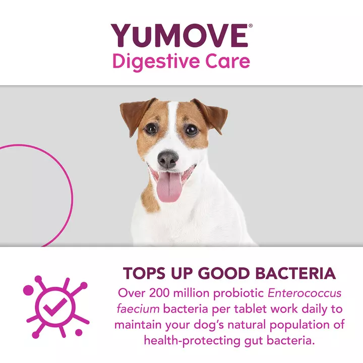 YuMOVE Digestive Care For All Dogs 9 YuMOVE Digestive Care For All Dogs - Image 7