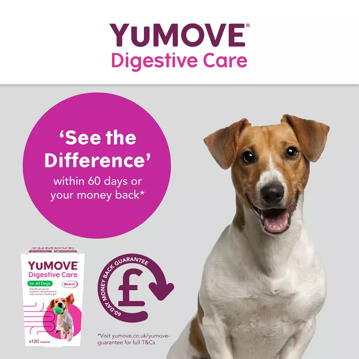 YuMOVE Digestive Care For All Dogs 7 YuMOVE Digestive Care For All Dogs - Image 5