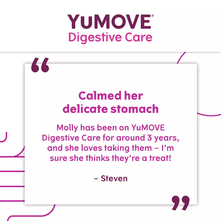YuMOVE Digestive Care For All Dogs 6 YuMOVE Digestive Care For All Dogs - Image 4