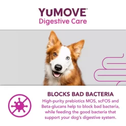 YuMOVE Digestive Care For All Dogs 16 YuMOVE Digestive Care For All Dogs -Dog Supply Shop yumove digestive care for all dogs tbut.jpg