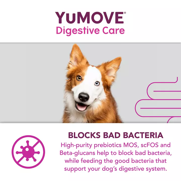 YuMOVE Digestive Care For All Dogs 8 YuMOVE Digestive Care For All Dogs - Image 6