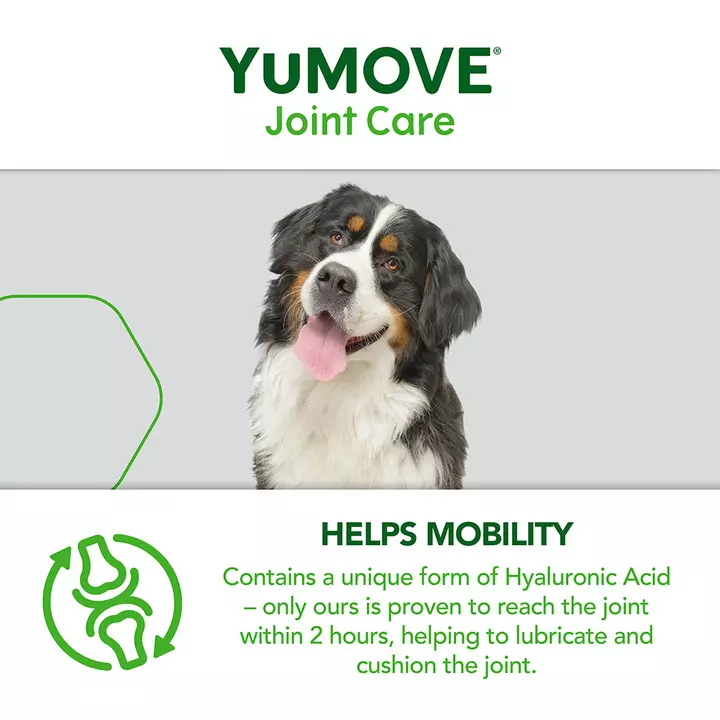 YuMOVE Joint Care For Senior Dogs 11 YuMOVE Joint Care For Senior Dogs - Image 9