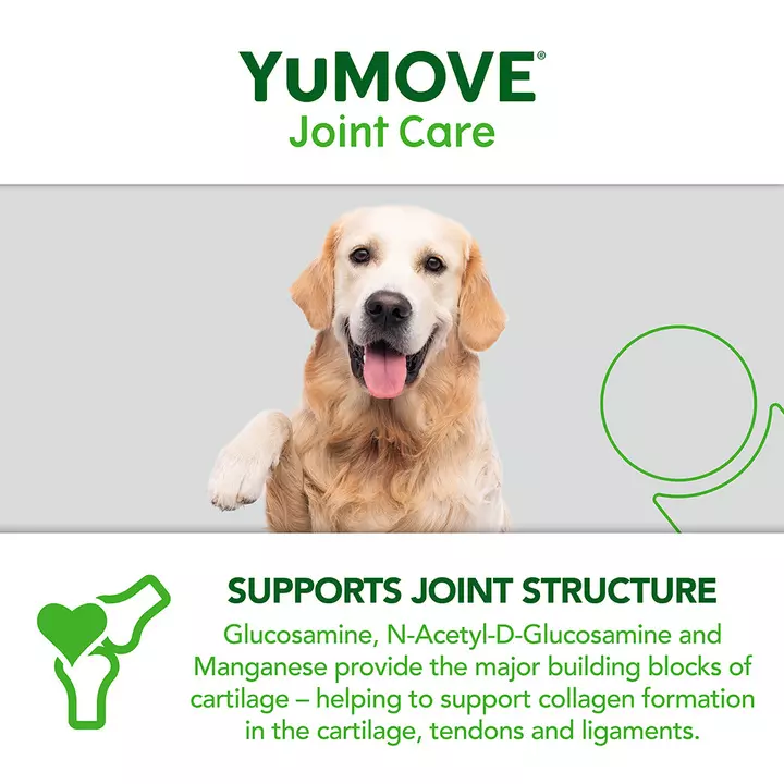 YuMOVE Joint Care For Senior Dogs 10 YuMOVE Joint Care For Senior Dogs - Image 8
