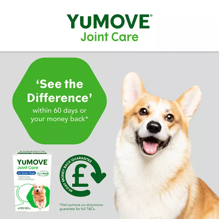 YuMOVE Joint Care For Senior Dogs 8 YuMOVE Joint Care For Senior Dogs - Image 6