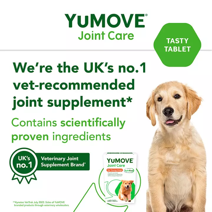 YuMOVE Joint Care For Young Dogs 5 YuMOVE Joint Care For Young Dogs - Image 3
