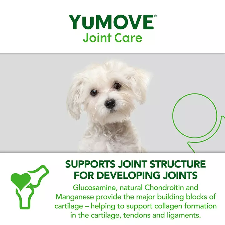 YuMOVE Joint Care For Young Dogs 9 YuMOVE Joint Care For Young Dogs - Image 7