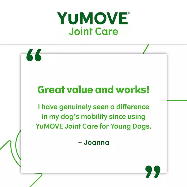 YuMOVE Joint Care For Young Dogs 6 YuMOVE Joint Care For Young Dogs - Image 4