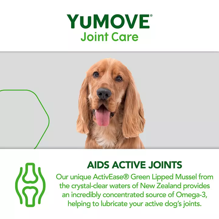 YuMOVE Joint Care For Young Dogs 8 YuMOVE Joint Care For Young Dogs - Image 6