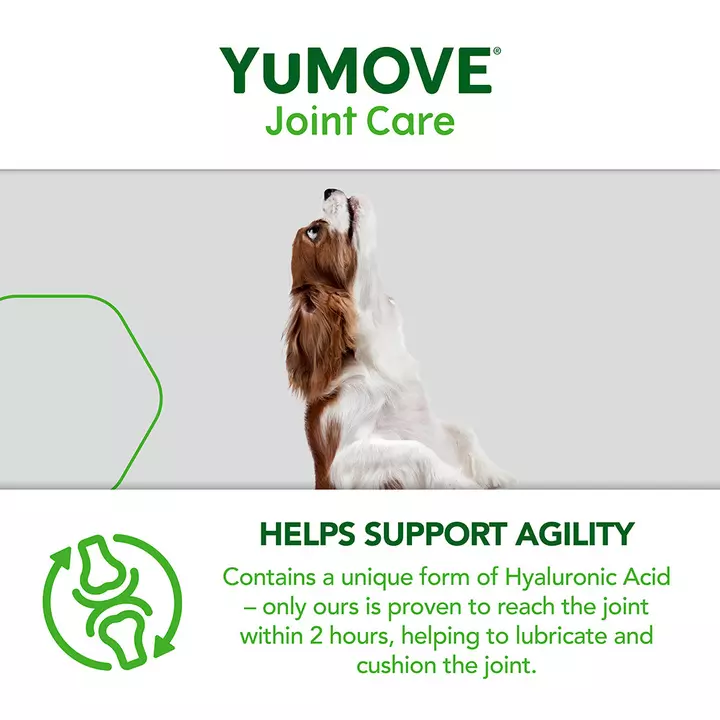 YuMOVE Joint Care For Young Dogs 10 YuMOVE Joint Care For Young Dogs - Image 8