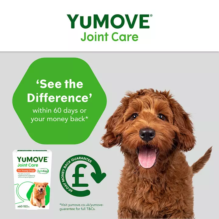YuMOVE Joint Care For Young Dogs 7 YuMOVE Joint Care For Young Dogs - Image 5