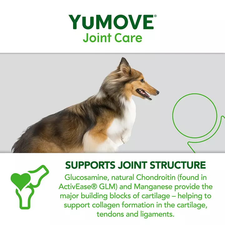 YuMOVE Joint Care For Adult Dogs 9 YuMOVE Joint Care For Adult Dogs - Image 7