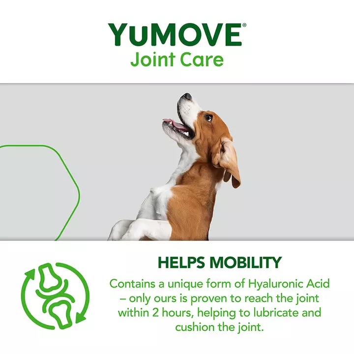 YuMOVE Joint Care For Adult Dogs 10 YuMOVE Joint Care For Adult Dogs - Image 8