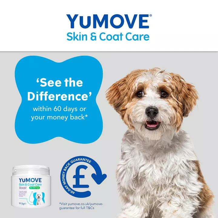 YuMOVE Skin & Coat Care Boost 7 YuMOVE Skin & Coat Care Boost - Image 5