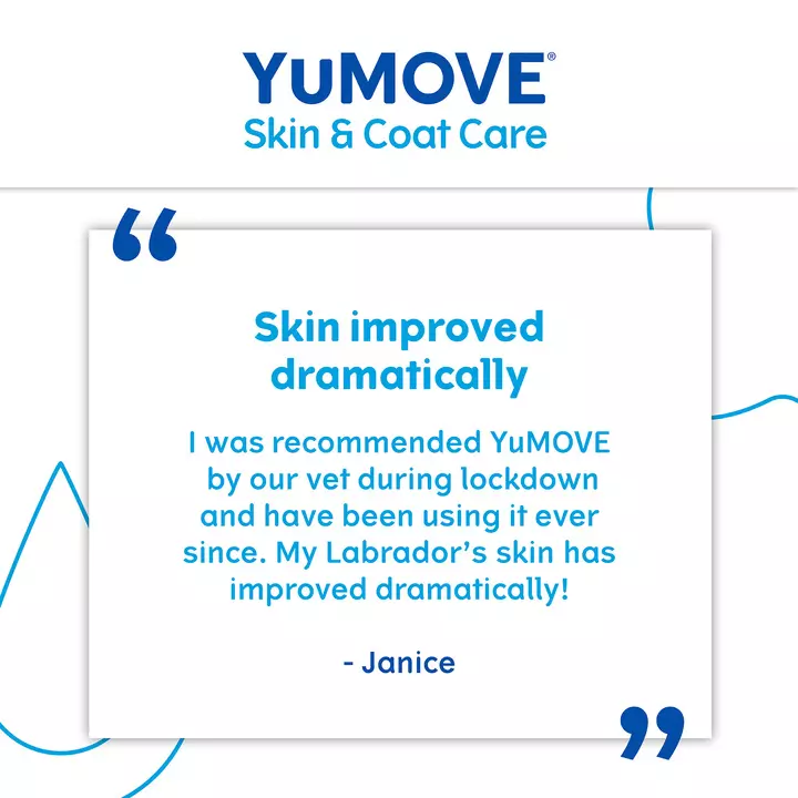 YuMOVE Skin & Coat Care Boost 6 YuMOVE Skin & Coat Care Boost - Image 4