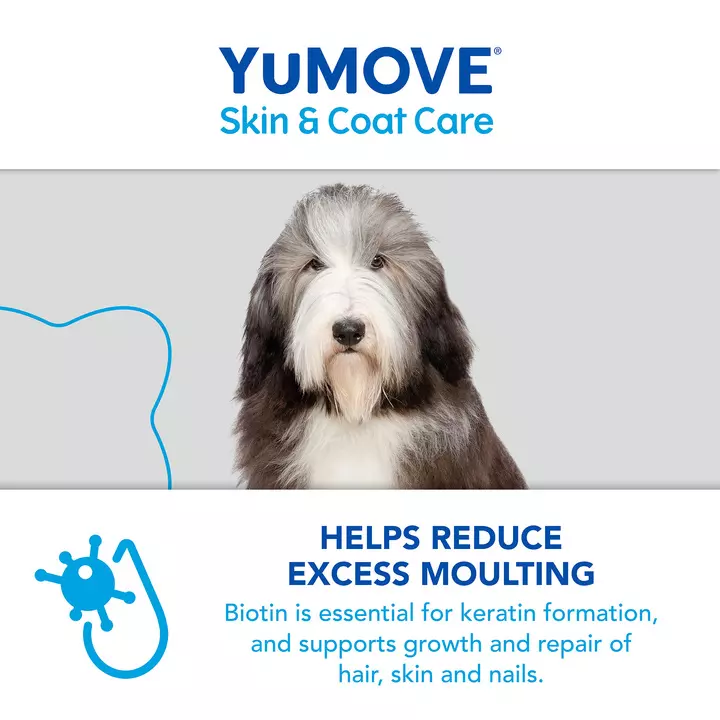 YuMOVE Skin & Coat Care Boost 10 YuMOVE Skin & Coat Care Boost - Image 8